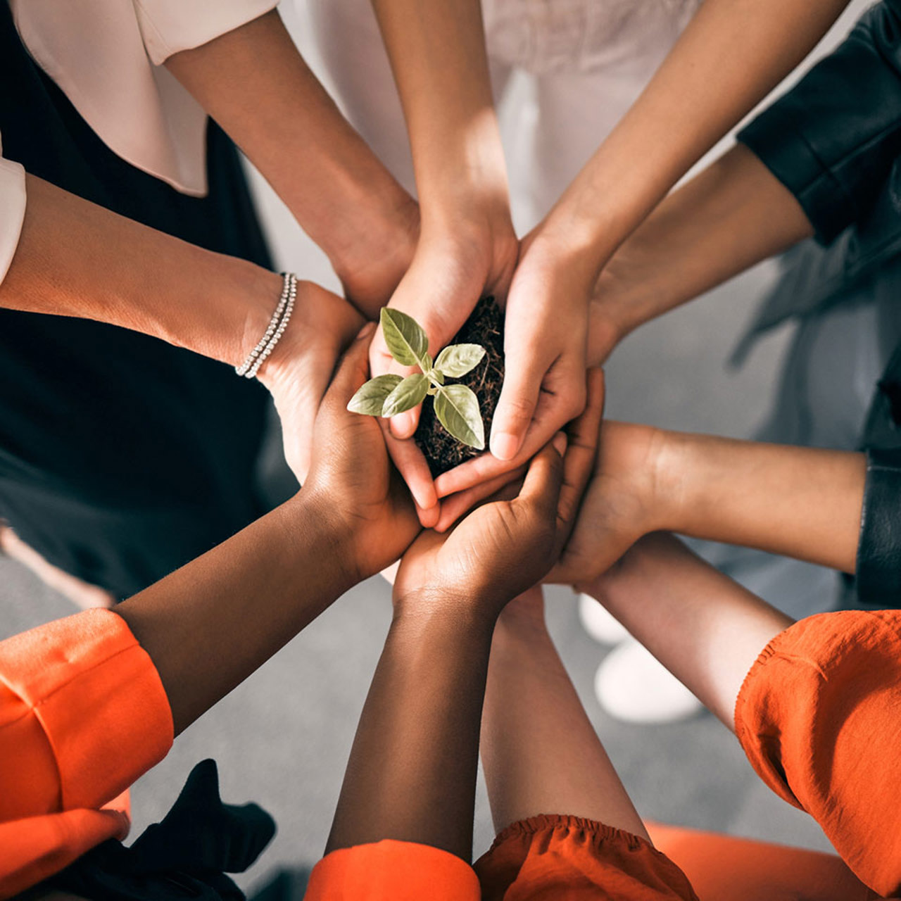 Build Endowment Tips