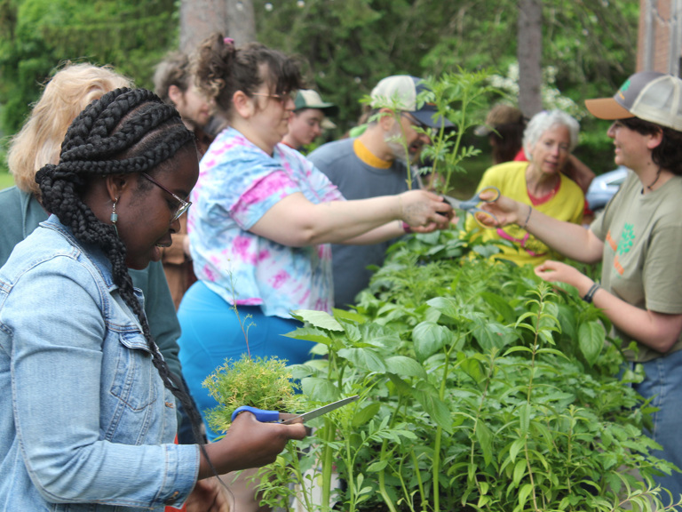 Western Mass Organization Grants